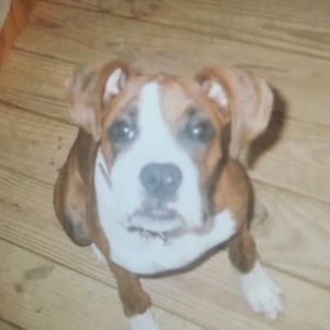 Meet your Posher, Gabe